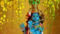 vishu