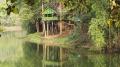Treetop hut at Parambikulam Tiger Reserve